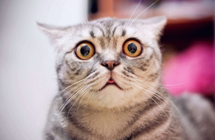 Indication That Indicated Bitcoin’s Bottom at $6,400: Rate on Edge of Steep Pullback