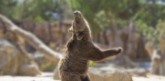 3 Reasons That Bitcoin is Bearish, Discusses Expert