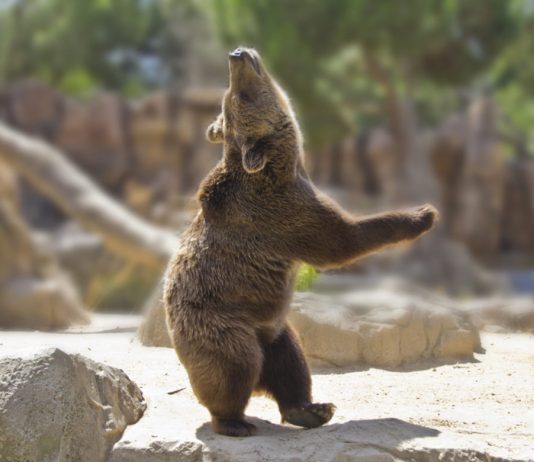 3 Reasons That Bitcoin is Bearish, Discusses Expert