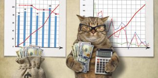 Central Banks’ “Free Cash” lags Bitcoin Bull Run: Mati Greenspan