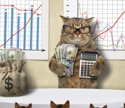 Central Banks’ “Free Cash” lags Bitcoin Bull Run: Mati Greenspan