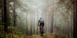 Ethereum Explodes 15% Greater to $250 in 1 Day: Are More Gains Imminent? Ethereum Explodes 15% Greater to $250 in 1 Day: Are More Gains Imminent?