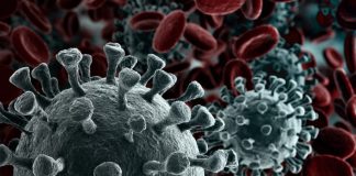 Coronavirus Proved Bitcoin is ‘Flight Possession of Option’, States CEO