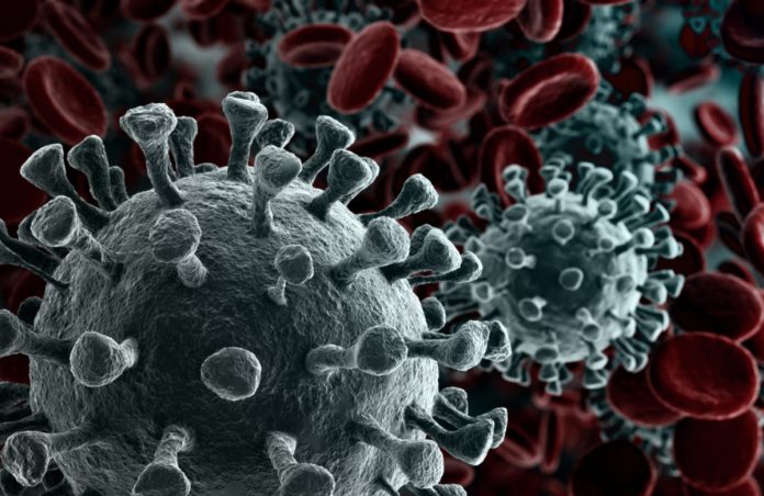 Coronavirus Proved Bitcoin is ‘Flight Possession of Option’, States CEO