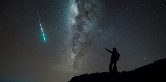 Financial expert: This Odd Event Recommends the Bitcoin Bottom remains in