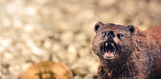 Bitcoin Threats Drop to $8.7 K as Accurate Fractal Flashes Sell-off Belief