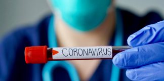 Coronavirus Worry Shocks Markets, However Crypto Stays Untouched