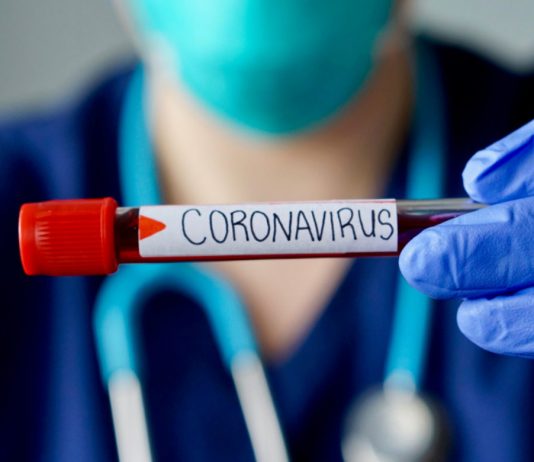 Coronavirus Worry Shocks Markets, However Crypto Stays Untouched Coronavirus Worry Shocks Markets, However Crypto Stays Untouched