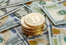 Drug dealership loses ₤45 m bitcoin fortune after concealing codes in fishing pole case