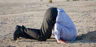 In The Middle Of Crypto Market Crash, Top Financier Calls Disregarding Bitcoin an ‘Idiotic Technique’