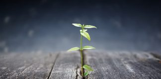 Why Bitcoin Holding This Vital Level Will Set Phase for “Parabolic Advance” Why Bitcoin Holding This Vital Level Will Set Phase for “Parabolic Advance”