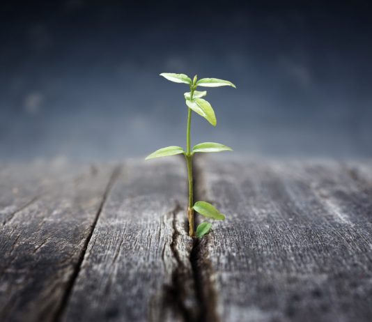 Why Bitcoin Holding This Vital Level Will Set Phase for “Parabolic Advance” Why Bitcoin Holding This Vital Level Will Set Phase for “Parabolic Advance”