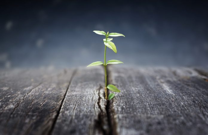 Why Bitcoin Holding This Vital Level Will Set Phase for “Parabolic Advance” Why Bitcoin Holding This Vital Level Will Set Phase for “Parabolic Advance”