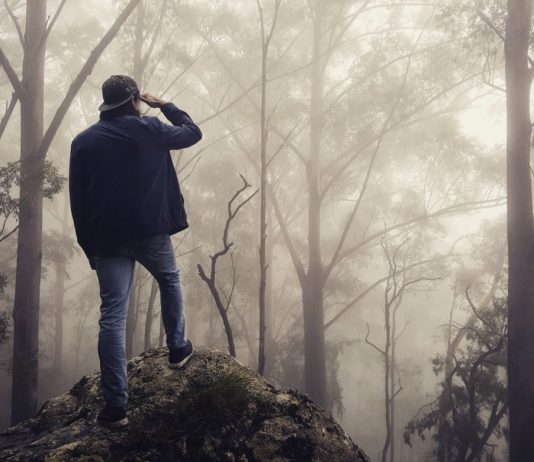 Crypto Tidbits: Bitcoin Plunges Under $9,000, Bitfinex and OKEx DDOS Attacks, Warren Buffett Slams Cryptocurrency Again