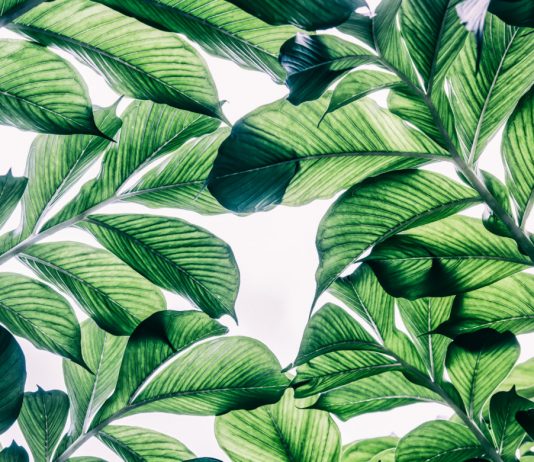 “Striking” Fractal Shared by Accurate Expert: Bitcoin to Quickly Blow Up Previous $9,000 “Striking” Fractal Shared by Accurate Expert: Bitcoin to Quickly Blow Up Previous $9,000