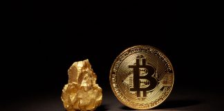 Gold and Bitcoin Have Actually Been Fluctuating In Tandem: Here’s Why