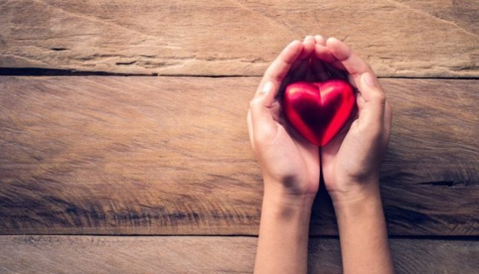 Person Rights Structure Accepts Totally Open Source Bitcoin Contributions