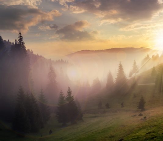 Leading Macro Expert Discusses Why Bitcoin Has Actually Crashed 17% Considering that $9,200