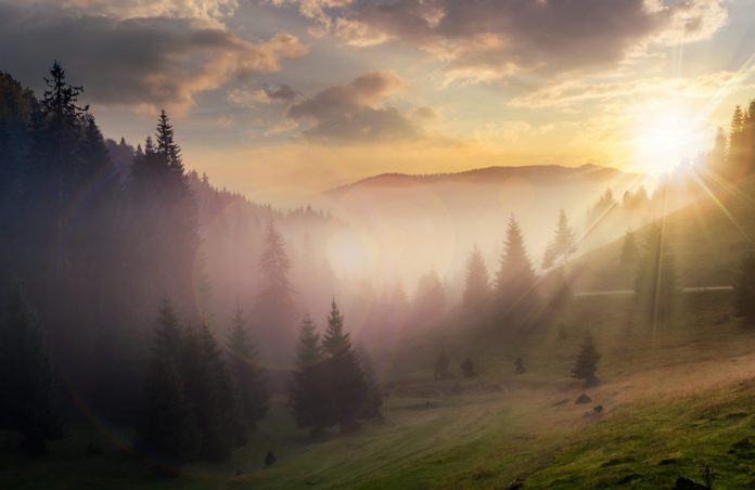 Leading Macro Expert Discusses Why Bitcoin Has Actually Crashed 17% Considering that $9,200