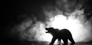 Leading Expert: Bitcoin’s Bull Pattern Ends Listed Below $7,700, and BTC Simply Was Up To $7600
