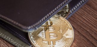 Variety of Bitcoin “Wholecoiners” is Proliferating; Here’s What This Indicates