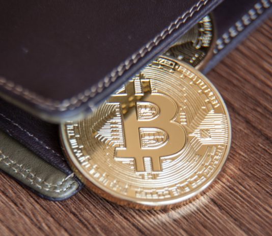 Variety of Bitcoin “Wholecoiners” is Proliferating; Here’s What This Indicates