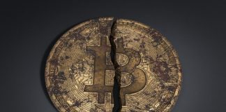 2020 Gains Cleaned as Bitcoin Crashes listed below $5,600 2020 Gains Cleaned as Bitcoin Crashes listed below $5,600
