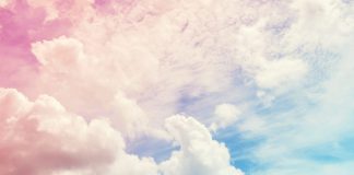 1 of BitMEX’s A lot of Rewarding Traders Still Believes Bitcoin Will Struck $30,000