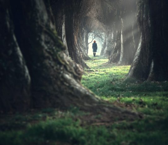 Crypto Tidbits: Bitcoin Plunges 50%, COVID-19 Cases at Ethereum Occasion, Central Banks Inject Billions