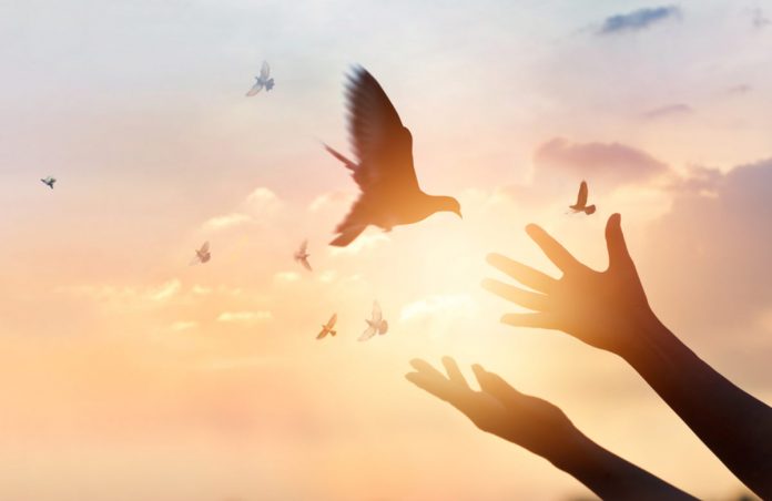 Ethereum Is Trading Near Essential Resistance, Are Bulls Ready For A Rise?