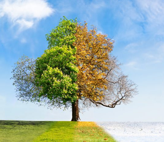 Seasonality in Bitcoin: Will Spring Bring a Return of Development to Cryptocurrency?