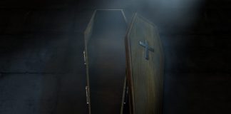 Bitcoin’s 85% Bounce Reveals Crypto Is Basically Alive and Well