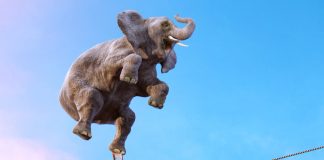 Cryptocurrency Stablecoins Thrive Throughout Market Recession and Panic Selloff