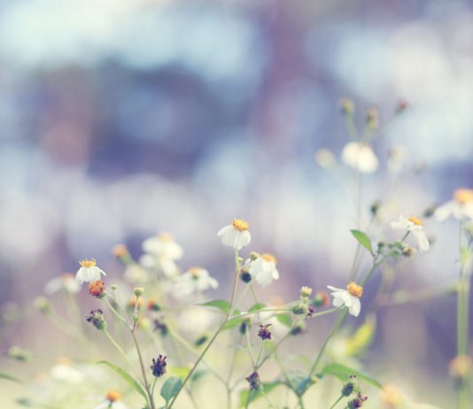 This Secret Metric Recommends the Crypto Market’s Recession Will Be Shortlived