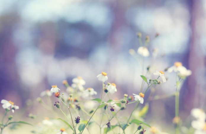 This Secret Metric Recommends the Crypto Market’s Recession Will Be Shortlived