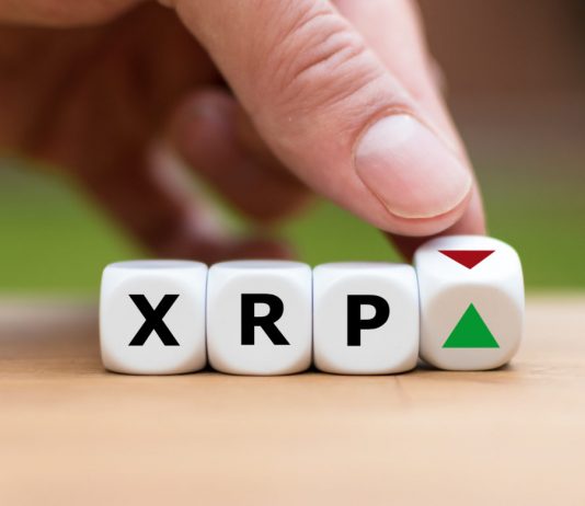 Ripple (XRP) Does Not Have Momentum However Here’s Why Bulls Are Comfy