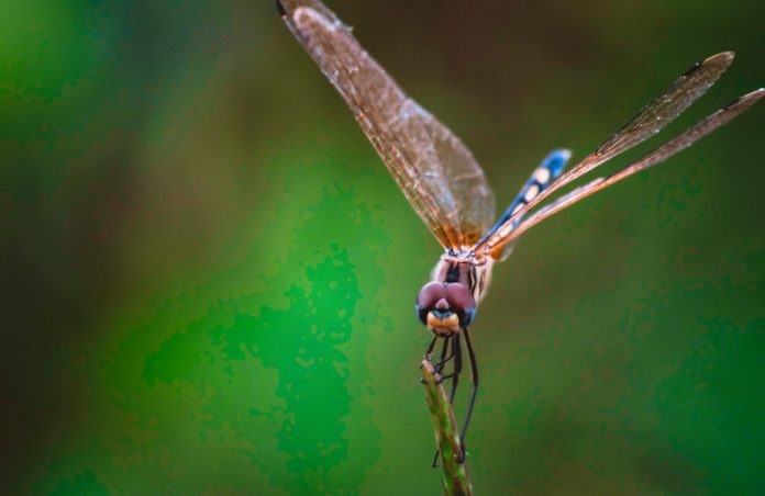 Double Dragon: Is Ethereum Ready For Violent Turnaround?