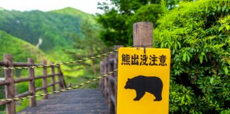 Bulls Be Careful: Bitcoin Might Dive After This Secret Technical Breakdown