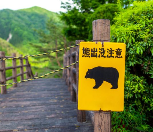 Bulls Be Careful: Bitcoin Might Dive After This Secret Technical Breakdown