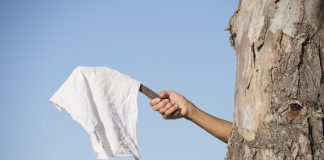 3’s a Crowd: Last Bitcoin Miner Shakeout Points to a Legendary Rally