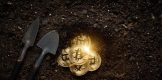 Big Gamers remain in Complete Bitcoin Build-up Mode as On-Chain Activity Grows