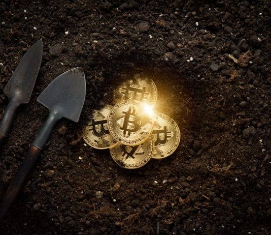 Big Gamers remain in Complete Bitcoin Build-up Mode as On-Chain Activity Grows