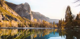 How Reddit’s New Ethereum Function Might Be Big for Crypto Adoption