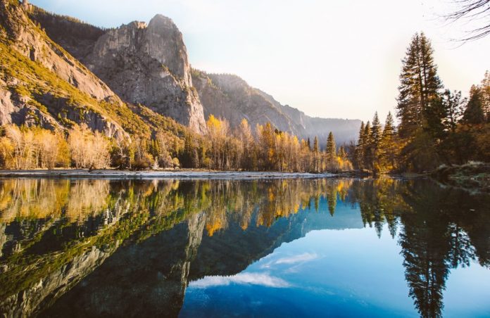 How Reddit’s New Ethereum Function Might Be Big for Crypto Adoption