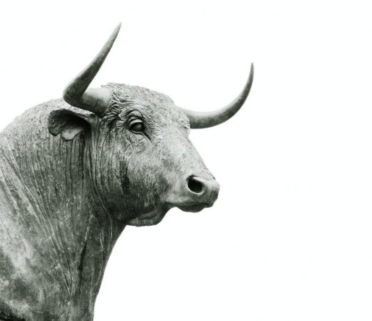 Crypto Market Cycle: Data Reveals Bitcoin On Rate For Post-Halving Bull Run