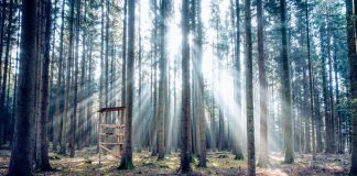 This One Financial Pattern Will Make Bitcoin Succeed: Billionaire