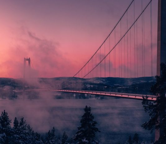 This One Chart Validates Crypto Bottomed Throughout March’s “Black Thursday” Crash