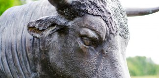 Bullish Rising Triangle Development Breakout Takes Bitcoin Back Above $7,000