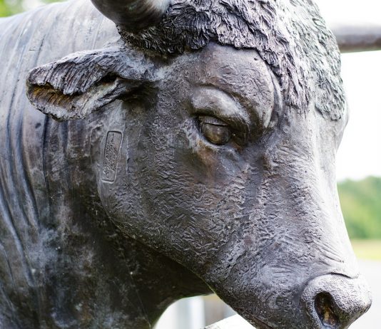 Bullish Rising Triangle Development Breakout Takes Bitcoin Back Above $7,000