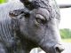 Bullish Rising Triangle Development Breakout Takes Bitcoin Back Above $7,000 Bullish Rising Triangle Development Breakout Takes Bitcoin Back Above $7,000